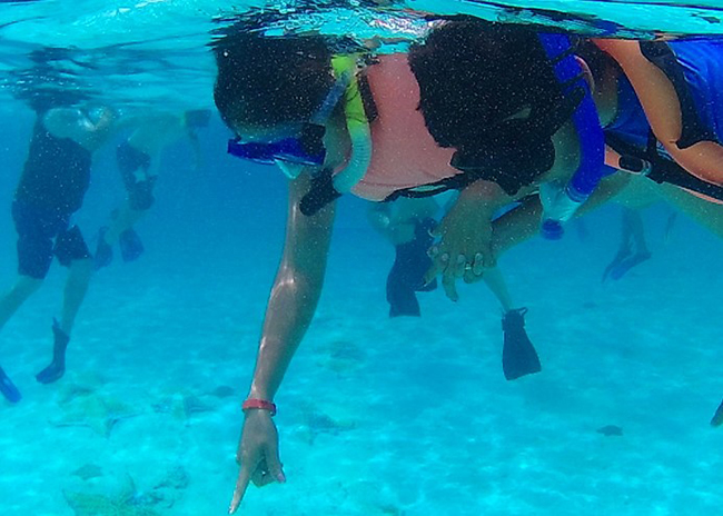 Kathleen and her brother seeing the marine life in Cozumel.